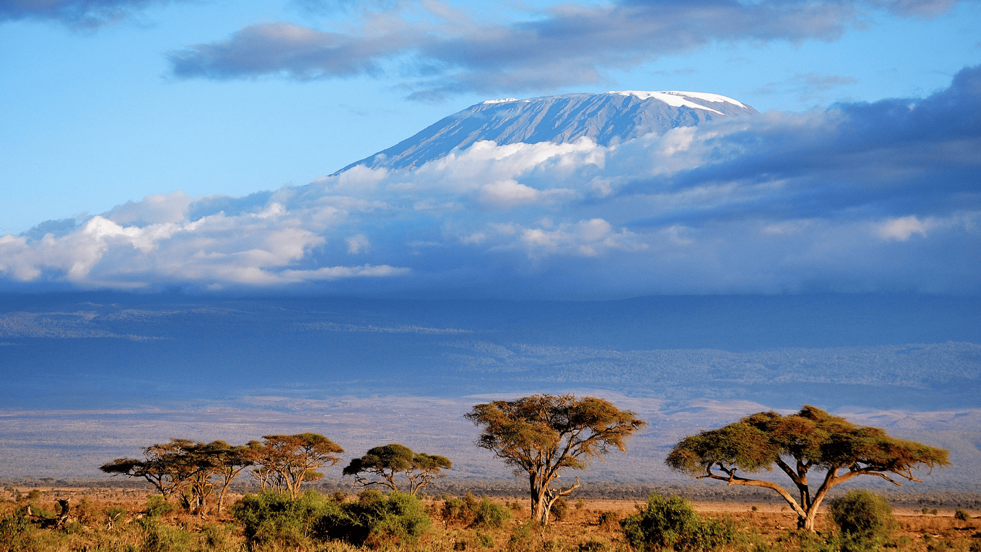 5 Days Kenya Helicopter Safari